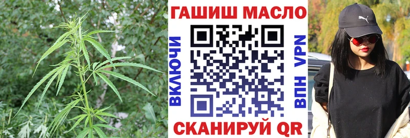 Дистиллят ТГК гашишное масло цены Волгореченск